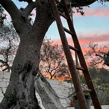 Quei Trulli Divini 4*