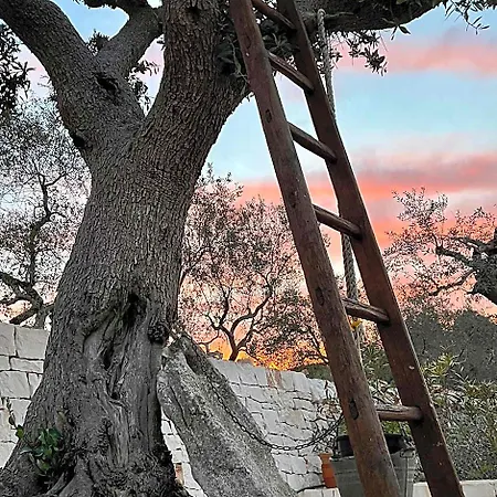Quei Trulli Divini فندق مبيت وإفطار