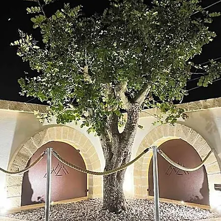 Quei Trulli Divini فندق مبيت وإفطار مارتينا فرانكا
